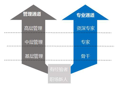 如何通过在线学习提升团队竞争力